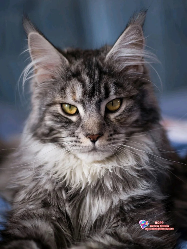 Majestic Maine Coons – Cat Diamond Painting Collection