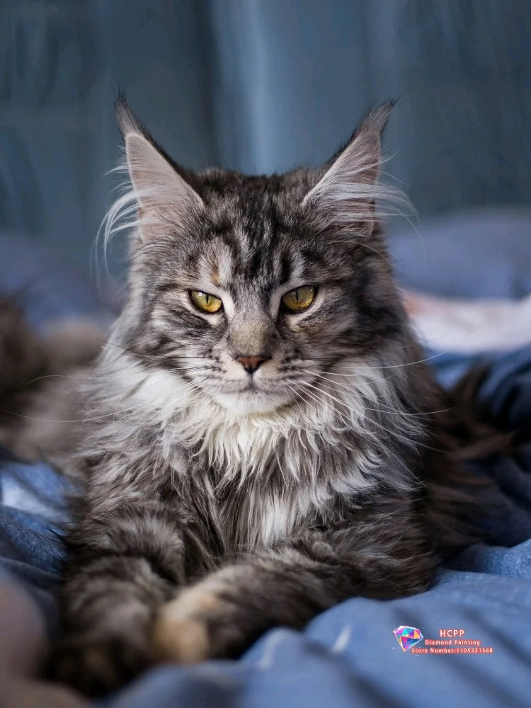 Majestic Maine Coons – Cat Diamond Painting Collection